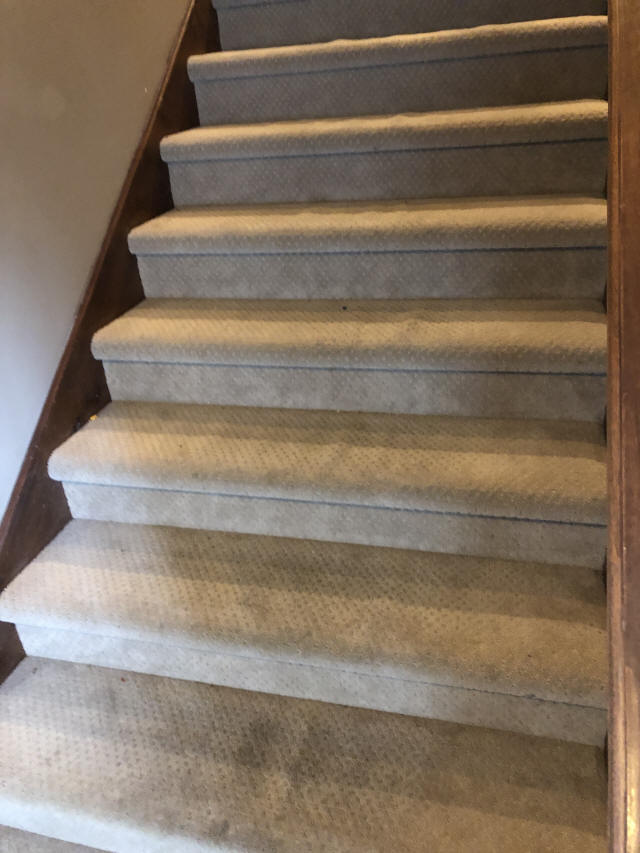 carpeted-stairs-before-remodel